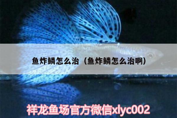 魚炸鱗怎么治（魚炸鱗怎么治?。? title=