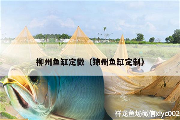 柳州魚缸定做（錦州魚缸定制）