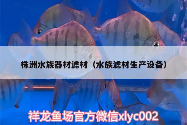 株洲水族器材濾材（水族濾材生產(chǎn)設(shè)備） 福魟魟魚(yú)