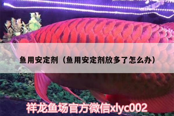 魚(yú)用安定劑（魚(yú)用安定劑放多了怎么辦）