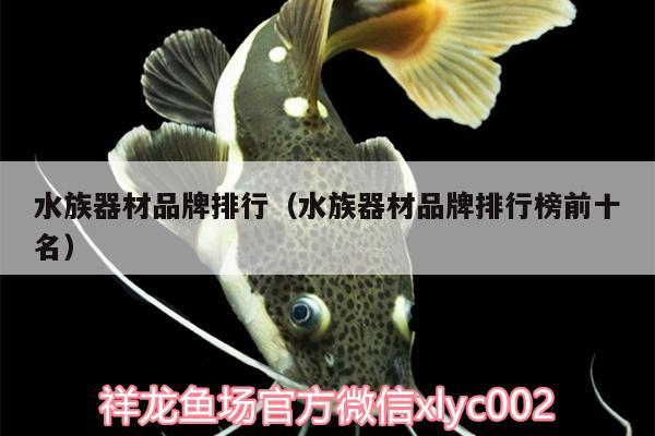 水族器材品牌排行（水族器材品牌排行榜前十名） 飛鳳魚(yú)苗