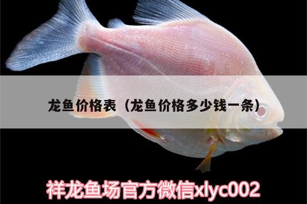 龍魚價格表（龍魚價格多少錢一條） 印尼四紋虎