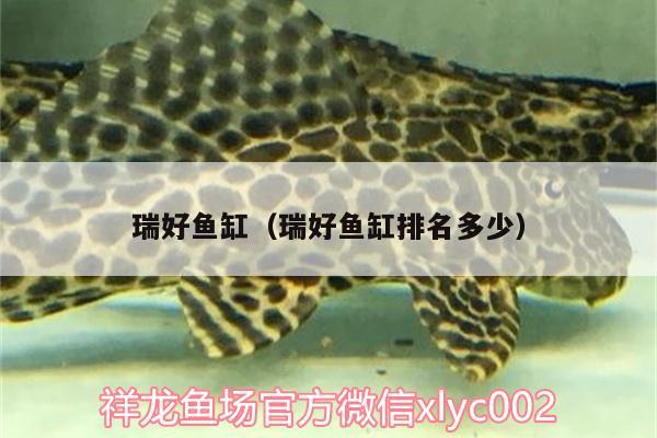 瑞好魚缸（瑞好魚缸排名多少） 蘇虎苗（蘇門答臘虎魚苗）