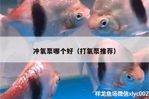 沖氧泵哪個(gè)好（打氧泵推薦） 沖氧泵