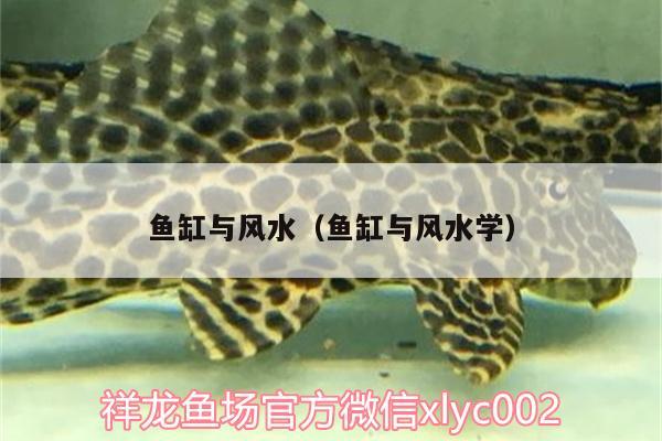 魚(yú)缸與風(fēng)水（魚(yú)缸與風(fēng)水學(xué)）