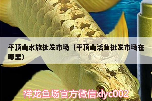 平頂山水族批發(fā)市場（平頂山活魚批發(fā)市場在哪里）