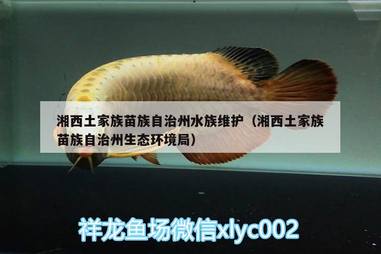 湘西土家族苗族自治州水族維護（湘西土家族苗族自治州生態(tài)環(huán)境局）