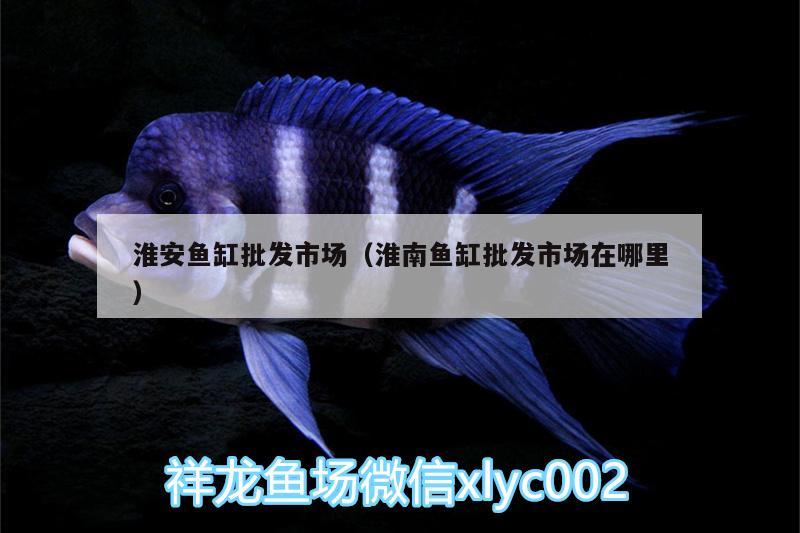 淮安魚(yú)缸批發(fā)市場(chǎng)（淮南魚(yú)缸批發(fā)市場(chǎng)在哪里）