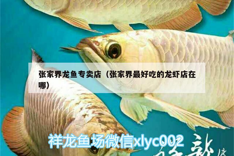 張家界龍魚專賣店（張家界最好吃的龍蝦店在哪）