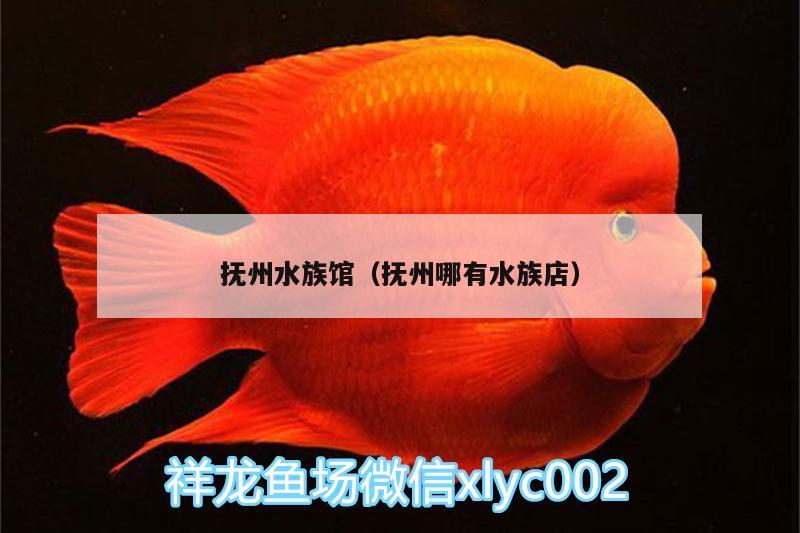 撫州水族館（撫州哪有水族店） 水溫計