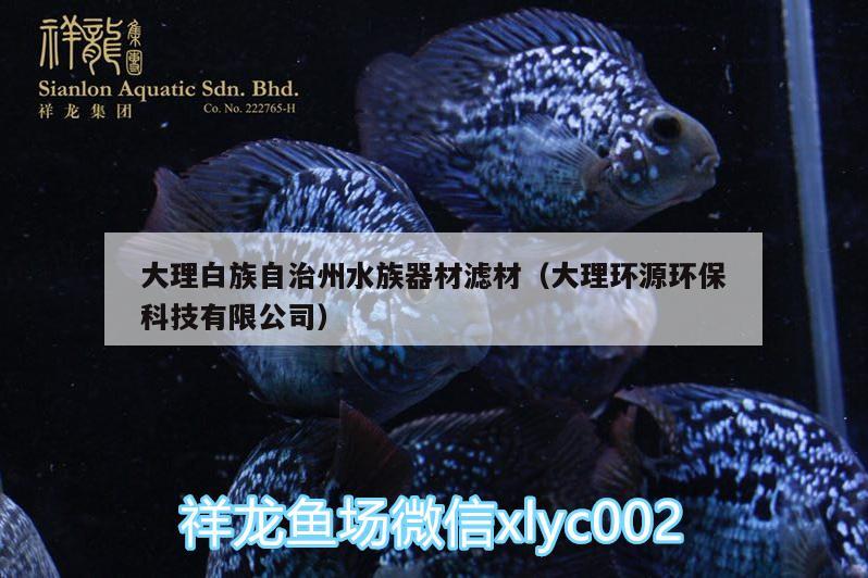 大理白族自治州水族器材濾材（大理環(huán)源環(huán)?？萍加邢薰荆?野彩魚