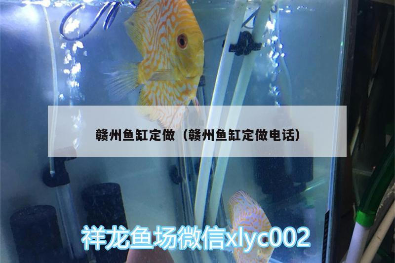 贛州魚缸定做（贛州魚缸定做電話）