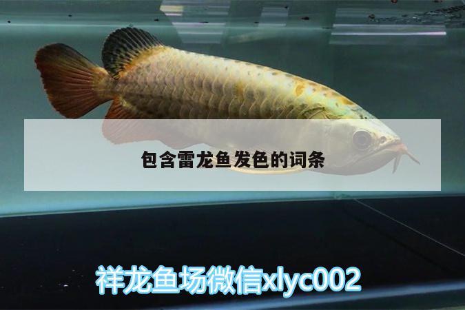 包含雷龍魚發(fā)色的詞條 廣州水族器材濾材批發(fā)市場