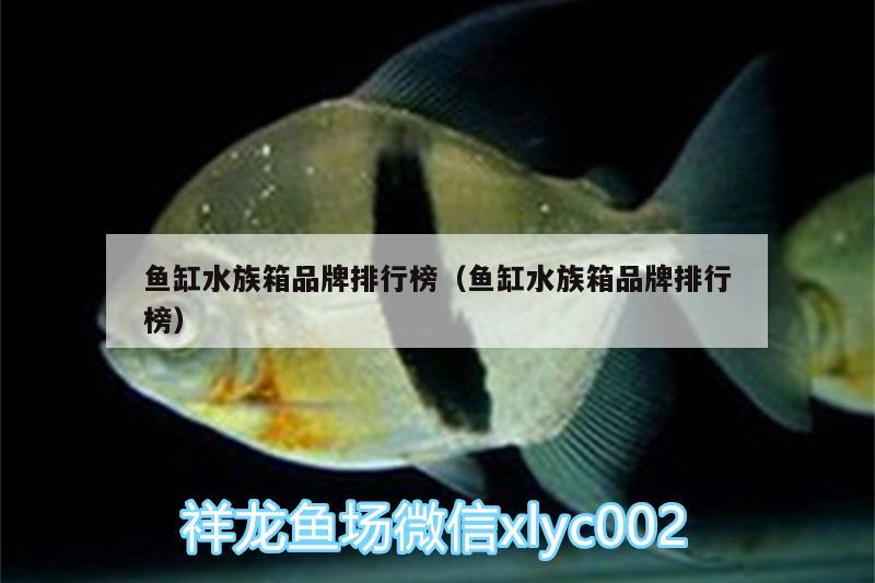 魚缸水族箱品牌排行榜（魚缸水族箱品牌排行榜） 魚缸/水族箱