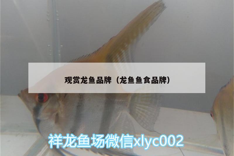 觀賞龍魚品牌（龍魚魚食品牌）