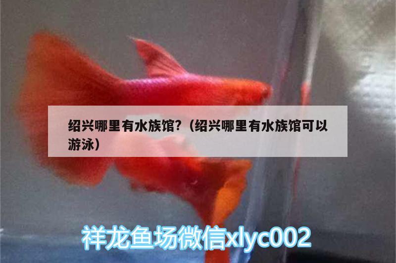 紹興哪里有水族館?（紹興哪里有水族館可以游泳）