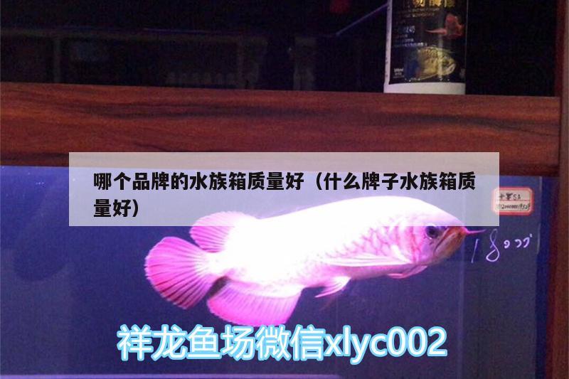 哪個(gè)品牌的水族箱質(zhì)量好（什么牌子水族箱質(zhì)量好） 魚缸/水族箱 第2張