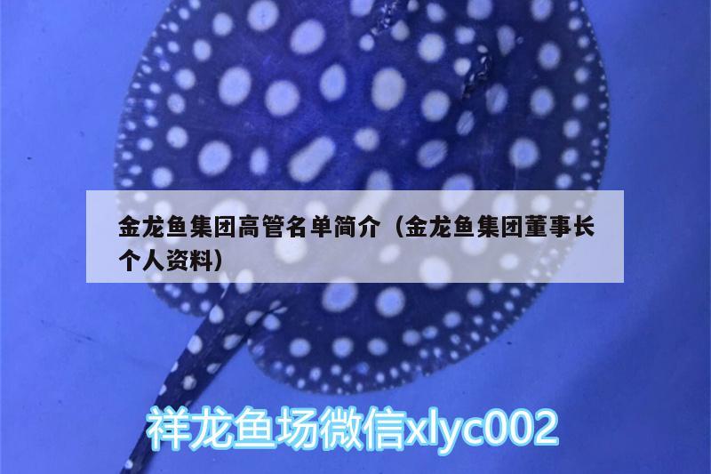 金龍魚集團高管名單簡介（金龍魚集團董事長個人資料）