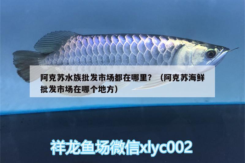 阿克蘇水族批發(fā)市場都在哪里？（阿克蘇海鮮批發(fā)市場在哪個地方）