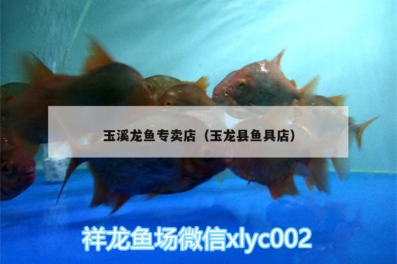 玉溪龍魚專賣店（玉龍縣魚具店）