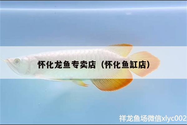 懷化龍魚(yú)專(zhuān)賣(mài)店（懷化魚(yú)缸店）