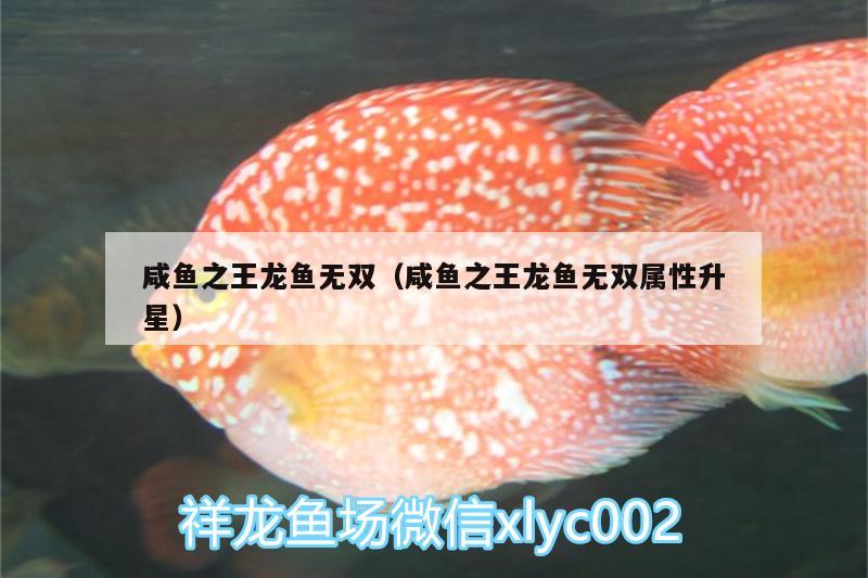 咸魚(yú)之王龍魚(yú)無(wú)雙（咸魚(yú)之王龍魚(yú)無(wú)雙屬性升星）