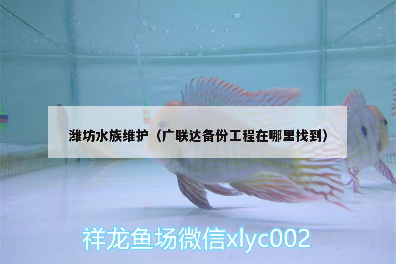 濰坊水族維護(hù)（廣聯(lián)達(dá)備份工程在哪里找到）