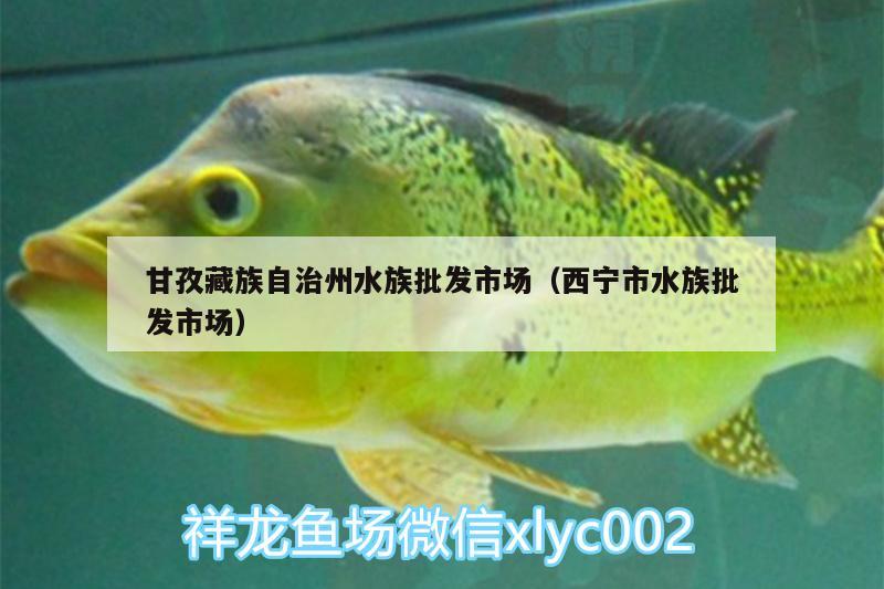 甘孜藏族自治州水族批發(fā)市場(chǎng)（西寧市水族批發(fā)市場(chǎng)）