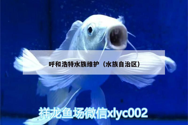 呼和浩特水族維護(hù)（水族自治區(qū)）