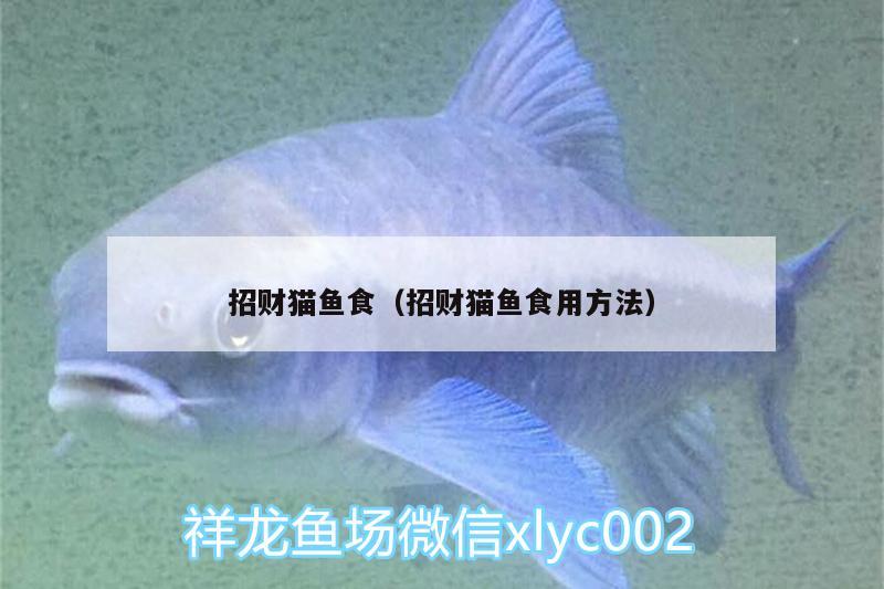 招財(cái)貓魚食（招財(cái)貓魚食用方法）