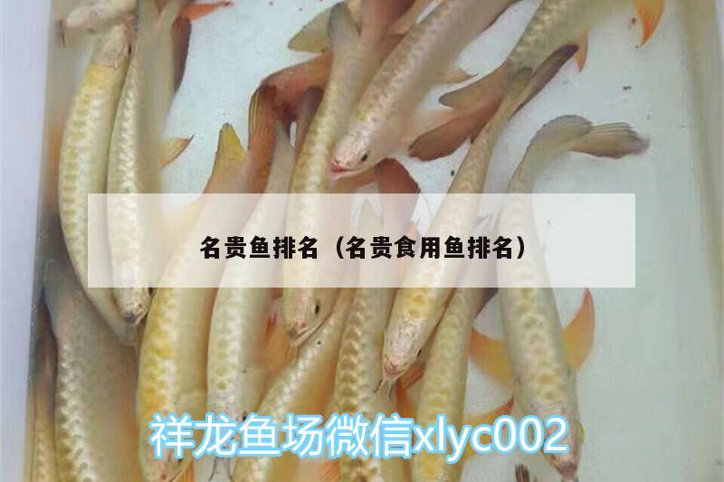 名貴魚排名（名貴食用魚排名） 充氧泵