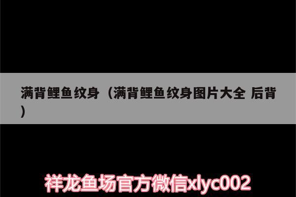 滿背鯉魚紋身（滿背鯉魚紋身圖片大全后背）