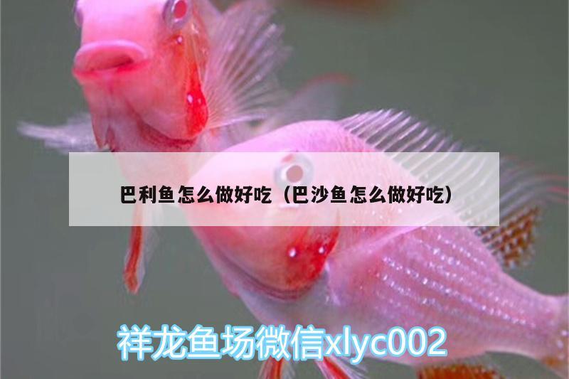 巴利魚怎么做好吃（巴沙魚怎么做好吃）