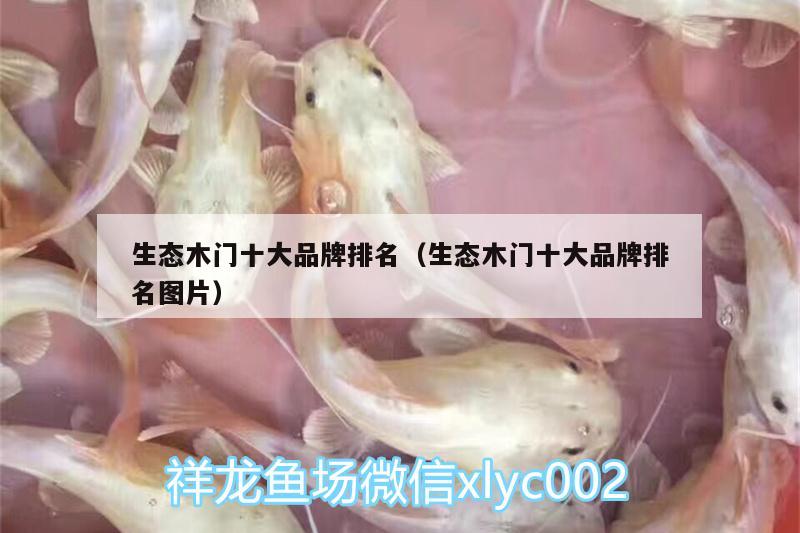 生態(tài)木門十大品牌排名（生態(tài)木門十大品牌排名圖片） 眼斑魚