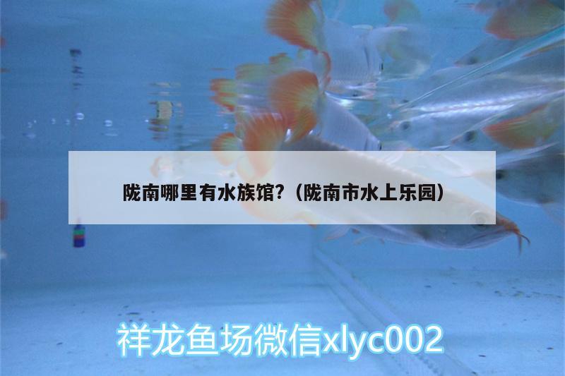 隴南哪里有水族館?（隴南市水上樂園） 帝王血鉆魚