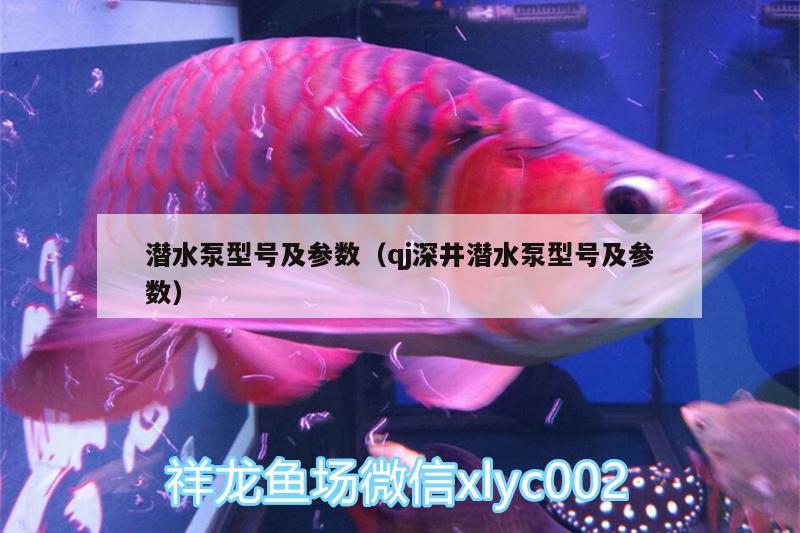 潛水泵型號(hào)及參數(shù)（qj深井潛水泵型號(hào)及參數(shù)） 南美異型魚