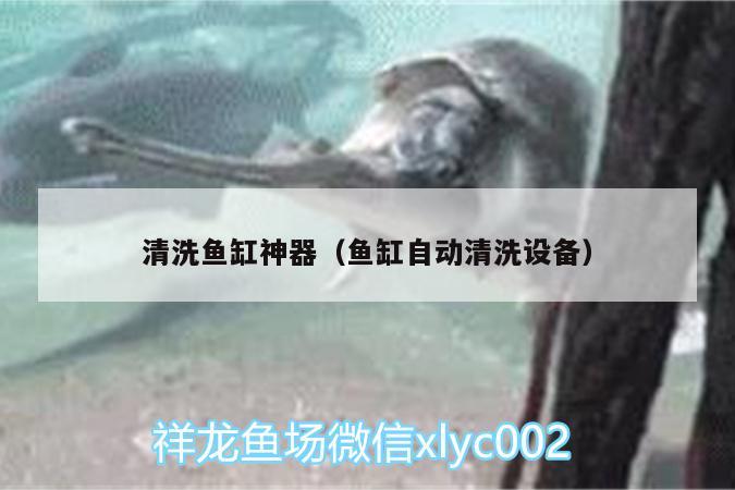 清洗魚缸神器（魚缸自動清洗設(shè)備） 羽毛刀魚苗 第2張