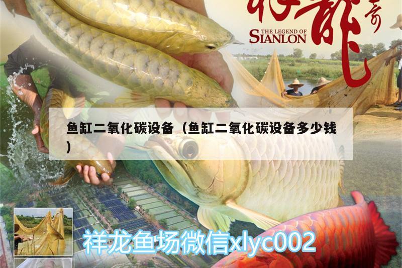 魚缸二氧化碳設(shè)備（魚缸二氧化碳設(shè)備多少錢） 二氧化碳設(shè)備