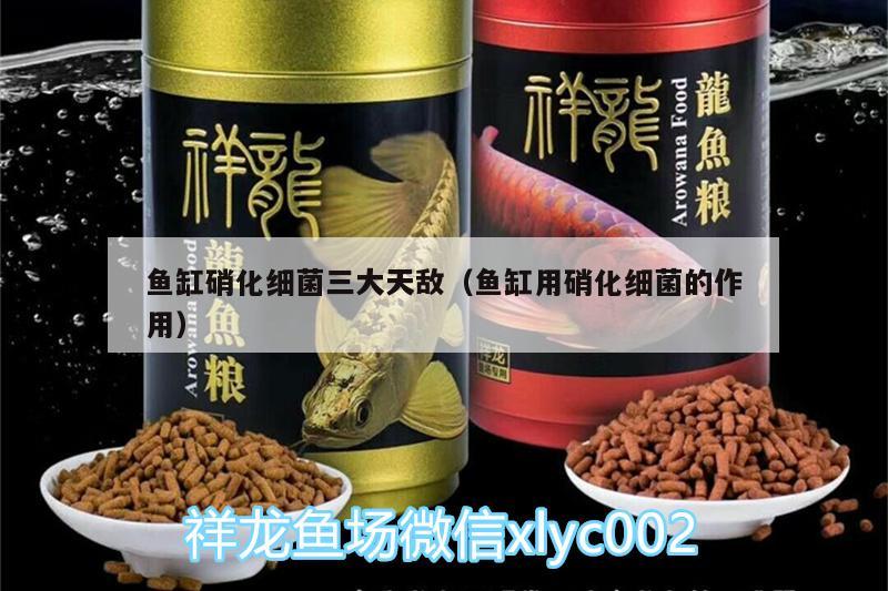 魚缸硝化細(xì)菌三大天敵（魚缸用硝化細(xì)菌的作用） 硝化細(xì)菌