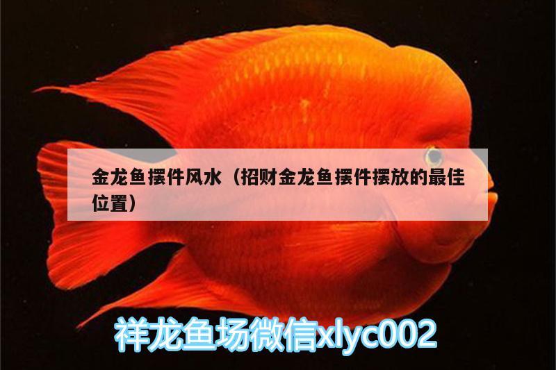 金龍魚擺件風(fēng)水（招財(cái)金龍魚擺件擺放的最佳位置） 魚缸風(fēng)水