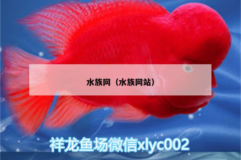 水族網(wǎng)（水族網(wǎng)站）