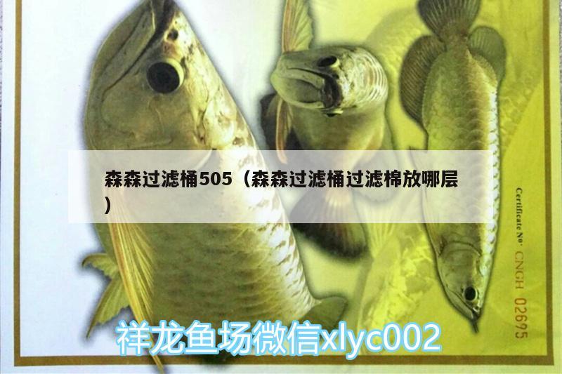 森森過濾桶505（森森過濾桶過濾棉放哪層）