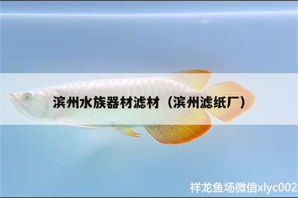 濱州水族器材濾材（濱州濾紙廠）