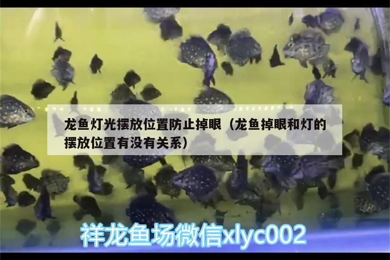 龍魚燈光擺放位置防止掉眼（龍魚掉眼和燈的擺放位置有沒有關(guān)系） 伊巴卡魚