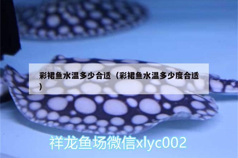 彩裙魚水溫多少合適（彩裙魚水溫多少度合適）