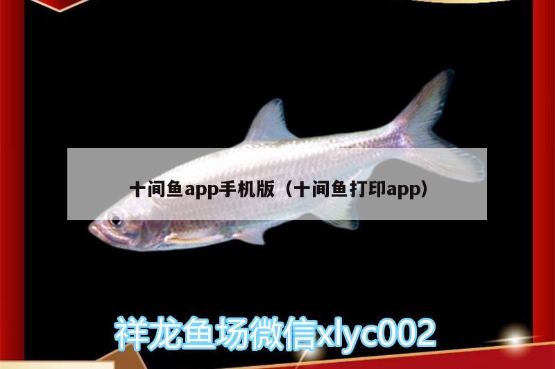 十間魚app手機版（十間魚打印app） 魚缸百科