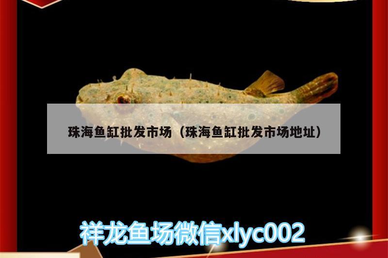 珠海魚缸批發(fā)市場（珠海魚缸批發(fā)市場地址） 水族用品