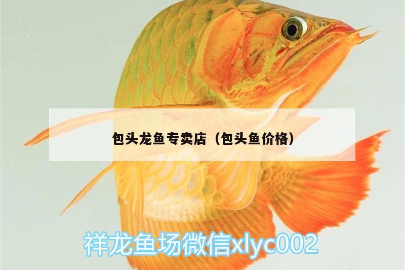 包頭龍魚(yú)專(zhuān)賣(mài)店（包頭魚(yú)價(jià)格） 照明器材