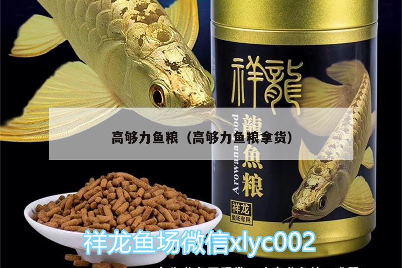 高夠力魚糧（高夠力魚糧拿貨）