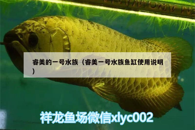 睿美的一號(hào)水族（睿美一號(hào)水族魚缸使用說明）